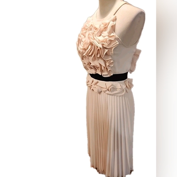 BCBGMaxAzria Cream Midi Skirt - Picture 2 of 9